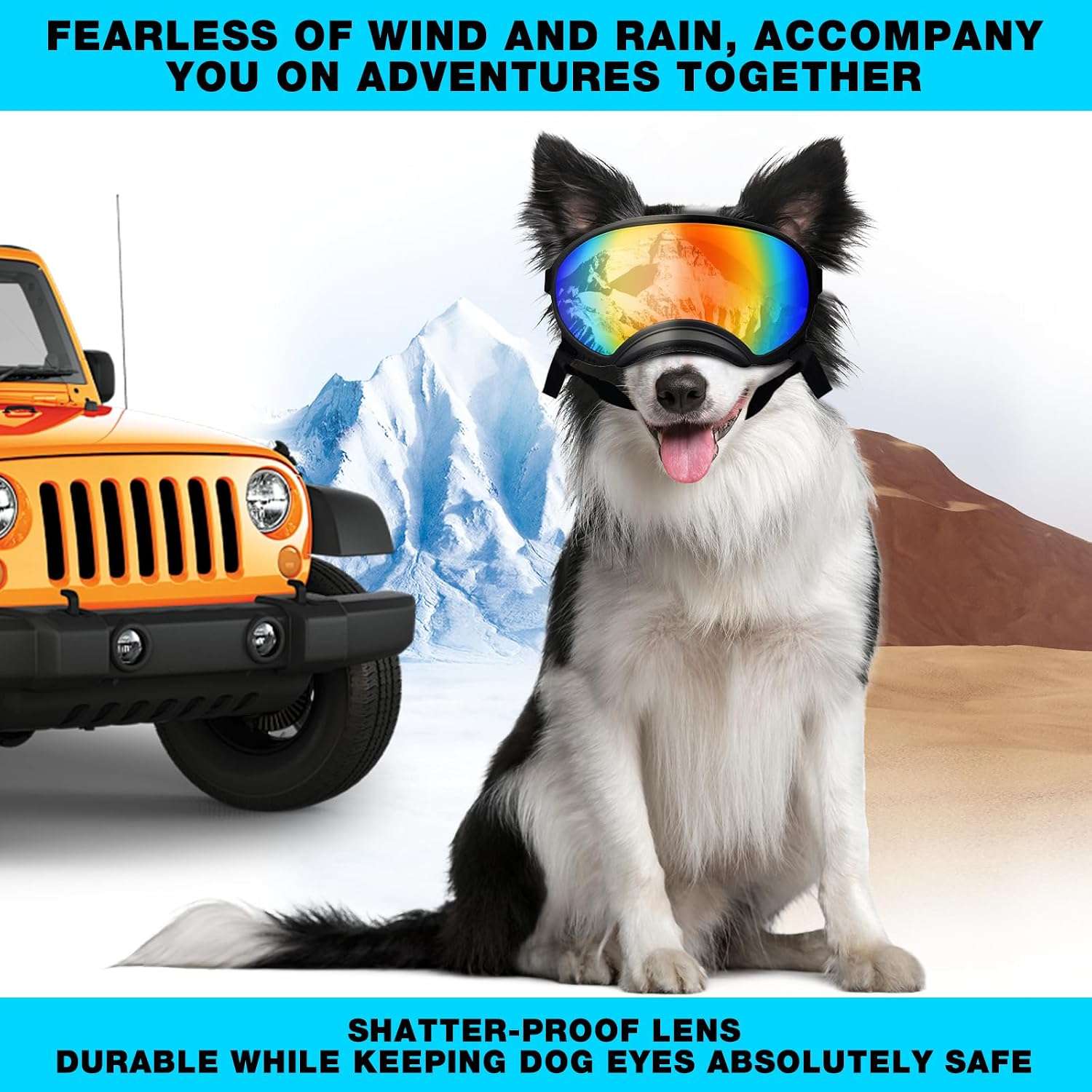 Lentes antiparras transparentes para perros grandes con estuche rigido proteccion UV y viento.