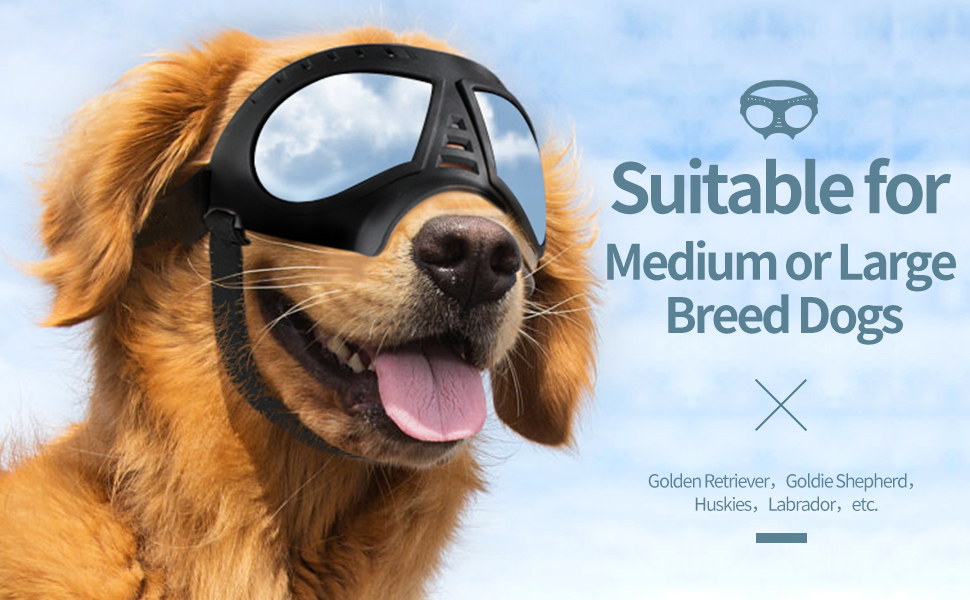 Lentes antiparras para perros grandes con estuche rigido proteccion UV nieve y moto.
