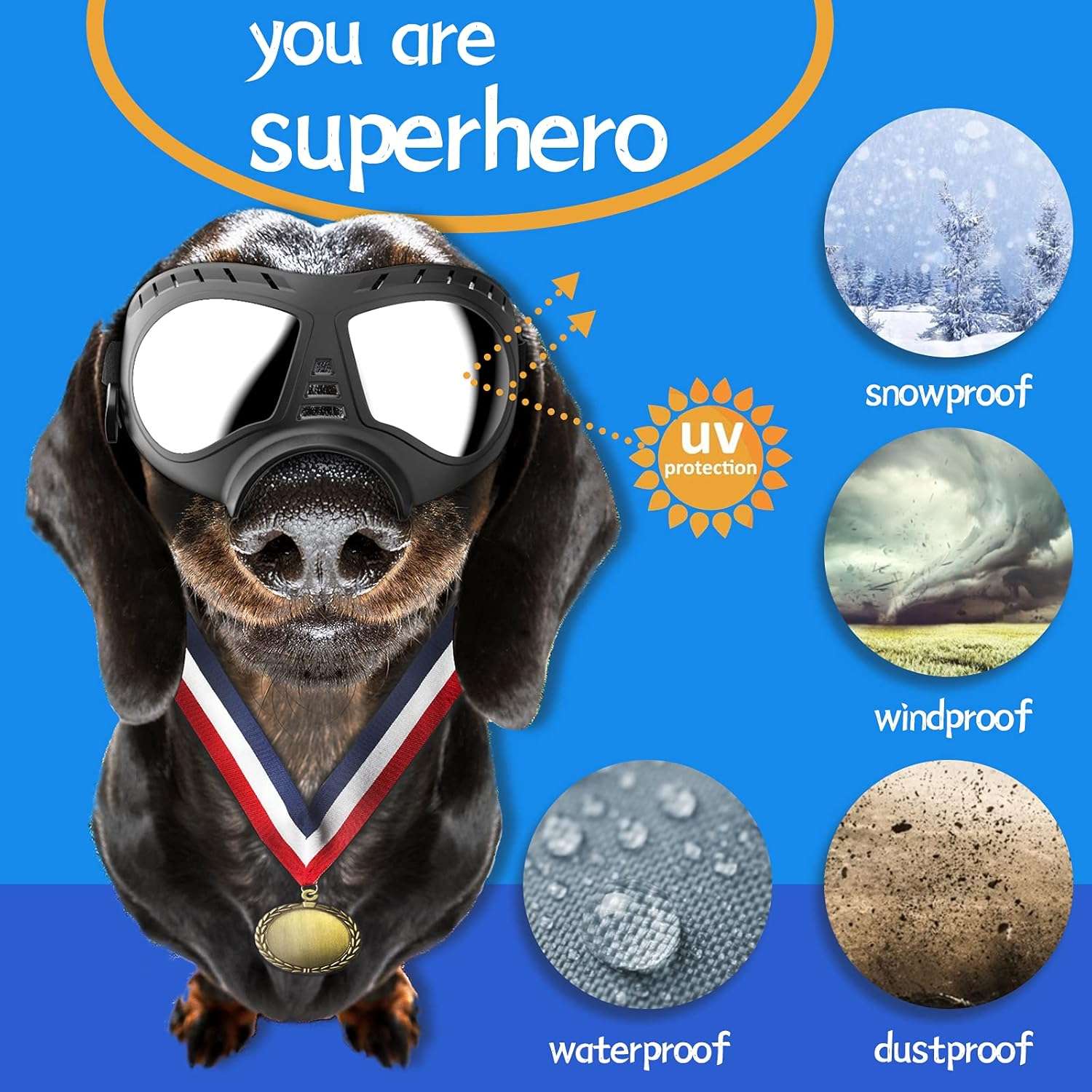 Lentes antiparras para perros grandes con estuche rigido proteccion UV nieve y moto.