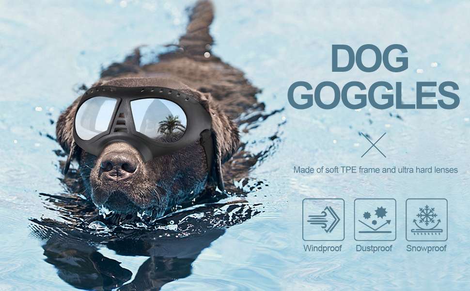 Lentes antiparras para perros grandes con estuche rigido proteccion UV nieve y moto.