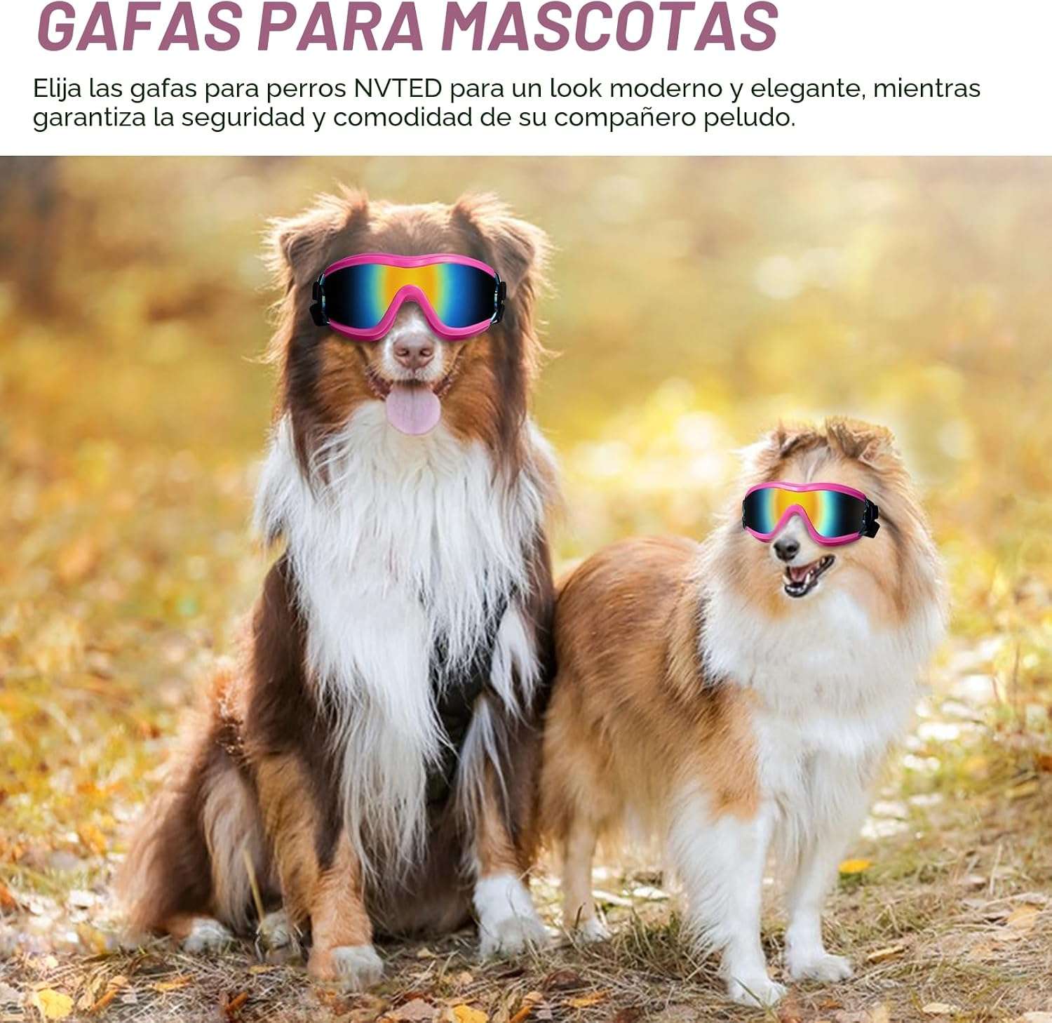 Lentes antiparras para perros con proteccion UV ajustables para moto y bicicleta.