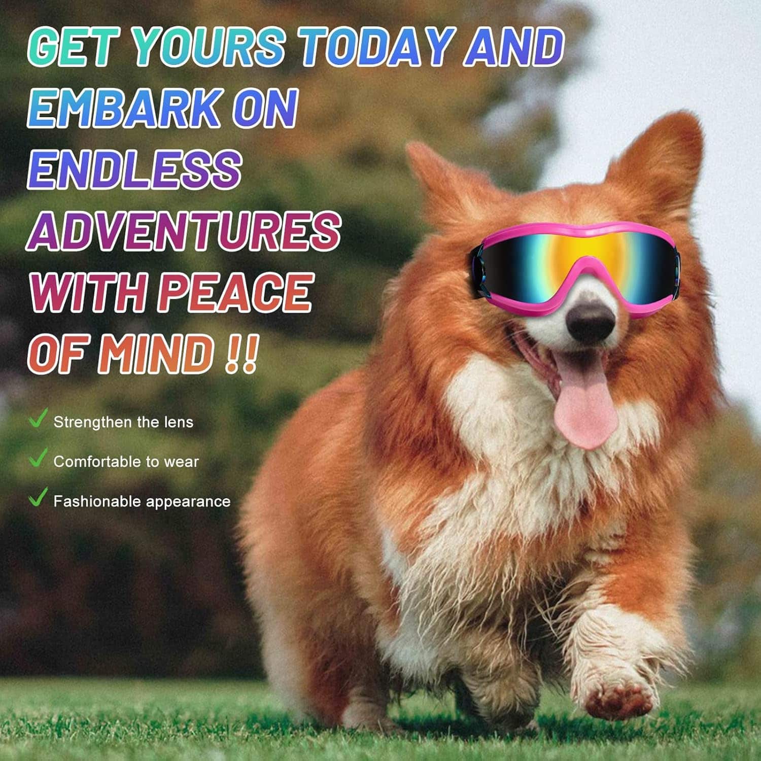 Lentes antiparras para perros con proteccion UV ajustables para moto y bicicleta.