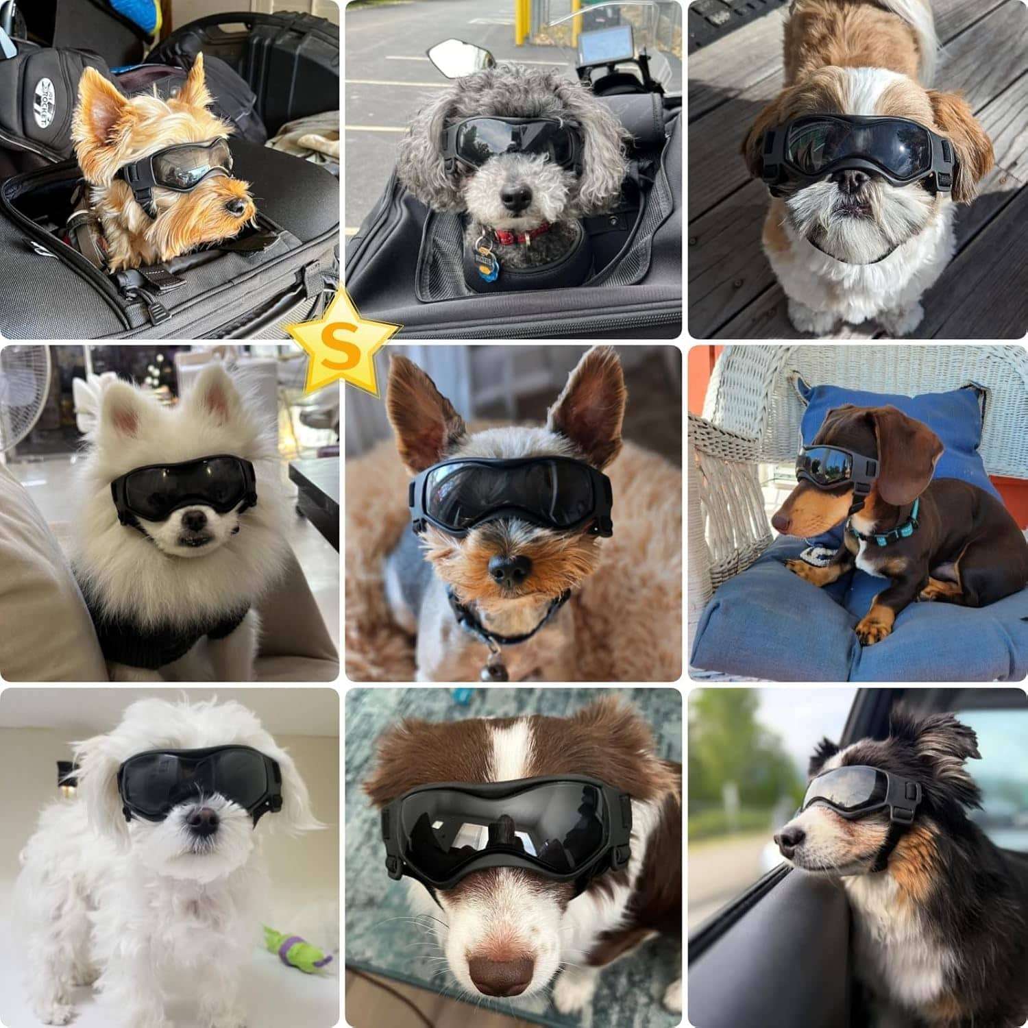 Lentes de sol antiparras para perros pequeños ajustables proteccion UV para auto.