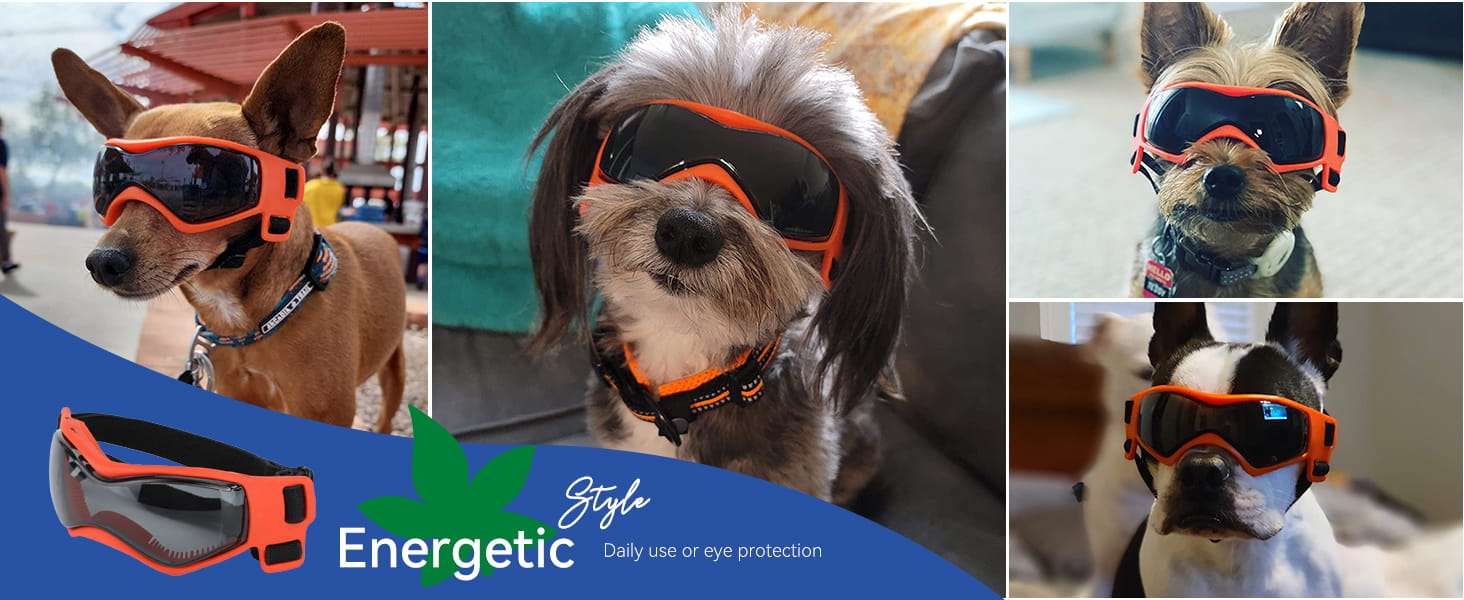 Lentes de sol antiparras para perros pequeños ajustables proteccion UV para auto.
