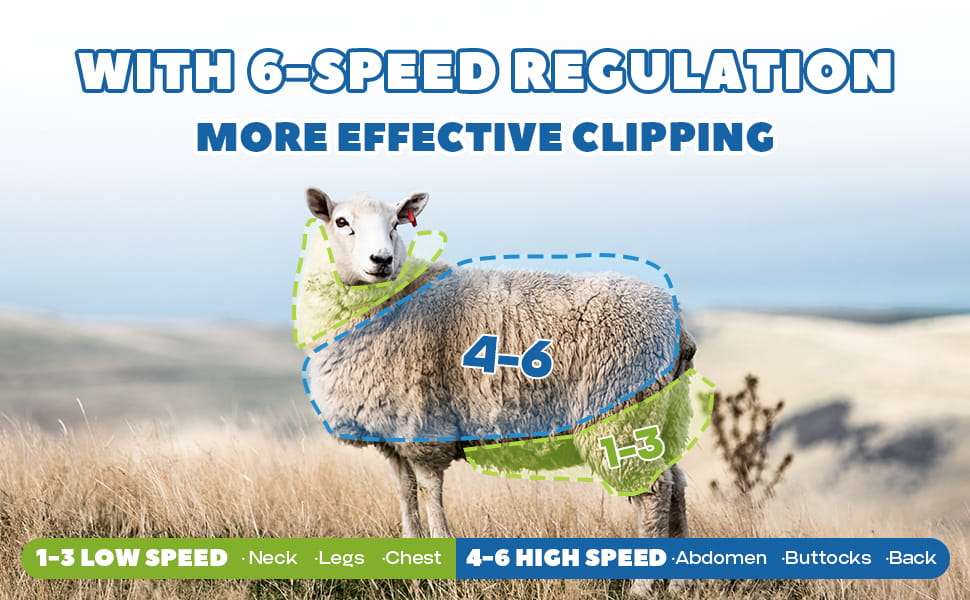 Maquina esquiladora inalambrica profesional de 550W para ovejas y alpacas con 2 baterias y maletin.