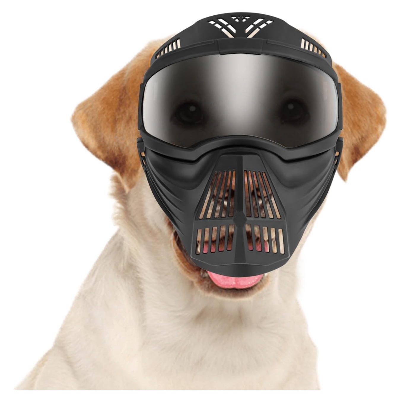 Mascara antiparras de proteccion facial completa para perros grandes como golden y boxer.