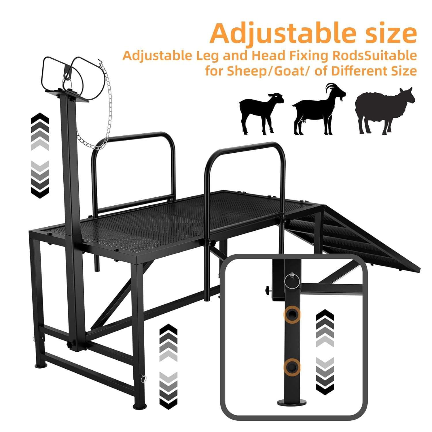 Mesa de esquila y brete para ovejas con rampa de acceso. Estructura de acero ajustable para recorte de pezuñas y ordeño.
