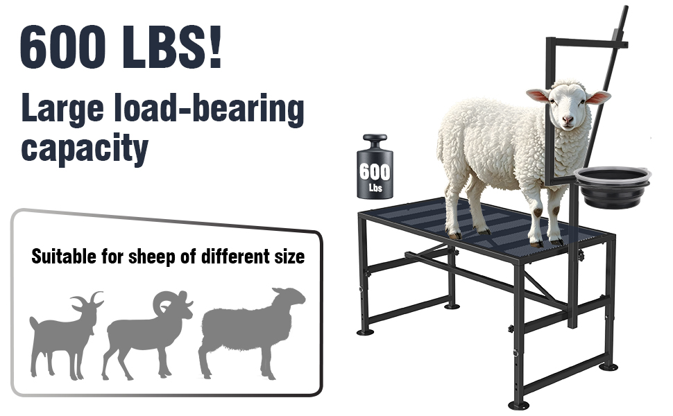 Mesa de ordeño y brete para cabras con comedero y cepo ajustable. Estructura de hierro reforzado que soporta 272 kilos.