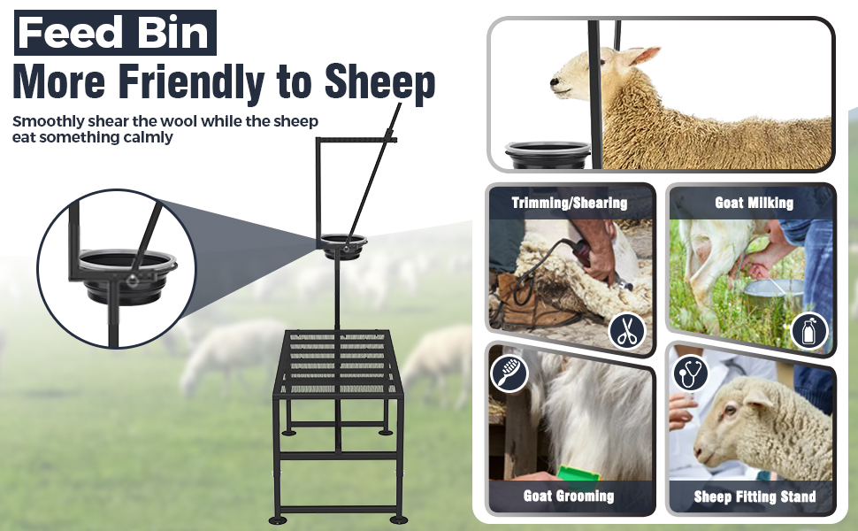 Mesa de ordeño y brete para cabras con comedero y cepo ajustable. Estructura de hierro reforzado que soporta 272 kilos.