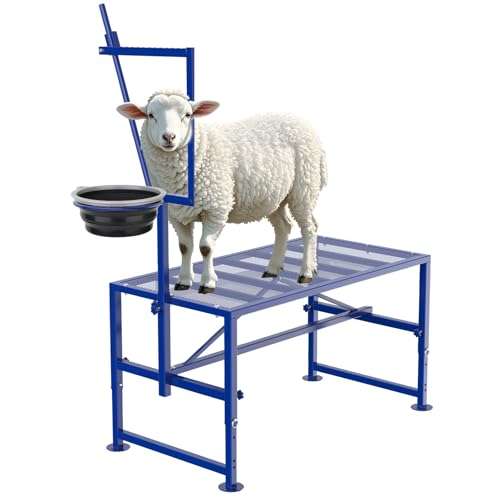 Mesa de ordeño y brete para cabras con comedero y cepo ajustable. Estructura de hierro reforzado que soporta 272 kilos.