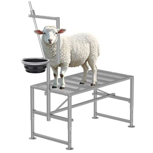 Mesa de ordeño y brete para cabras con comedero y cepo ajustable. Estructura de hierro reforzado que soporta 272 kilos.
