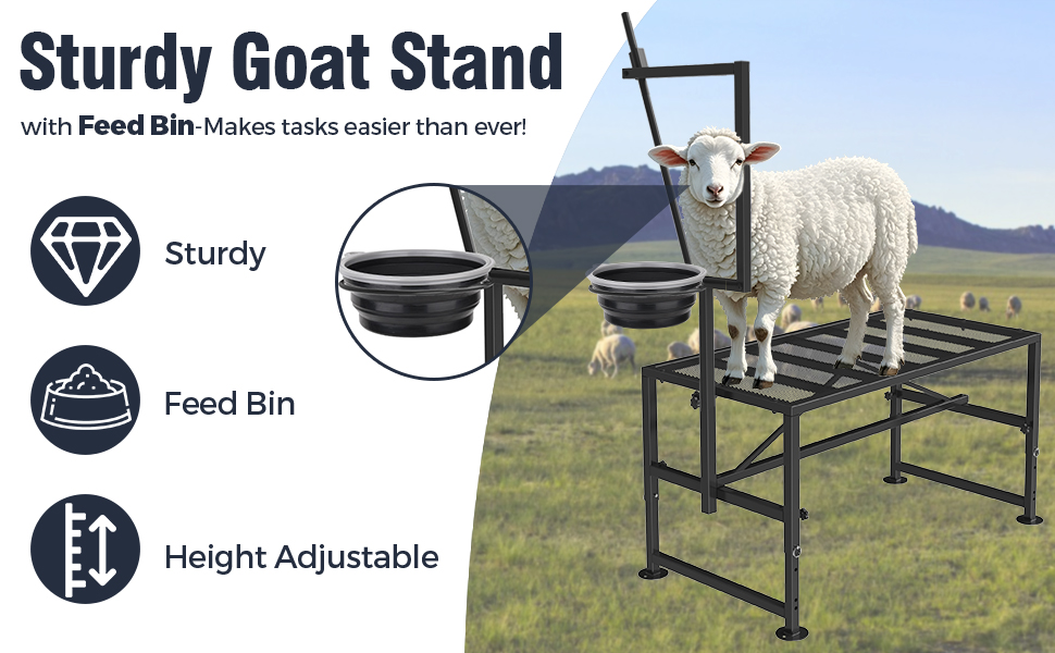 Mesa de ordeño y brete para cabras con comedero y cepo ajustable. Estructura de hierro reforzado que soporta 272 kilos.