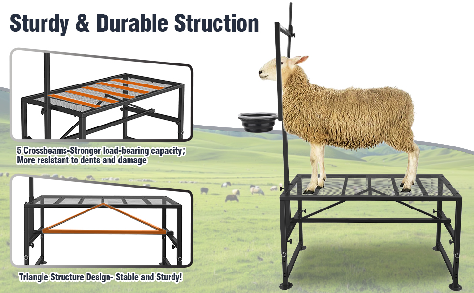 Mesa de ordeño y brete para cabras con comedero y cepo ajustable. Estructura de hierro reforzado que soporta 272 kilos.