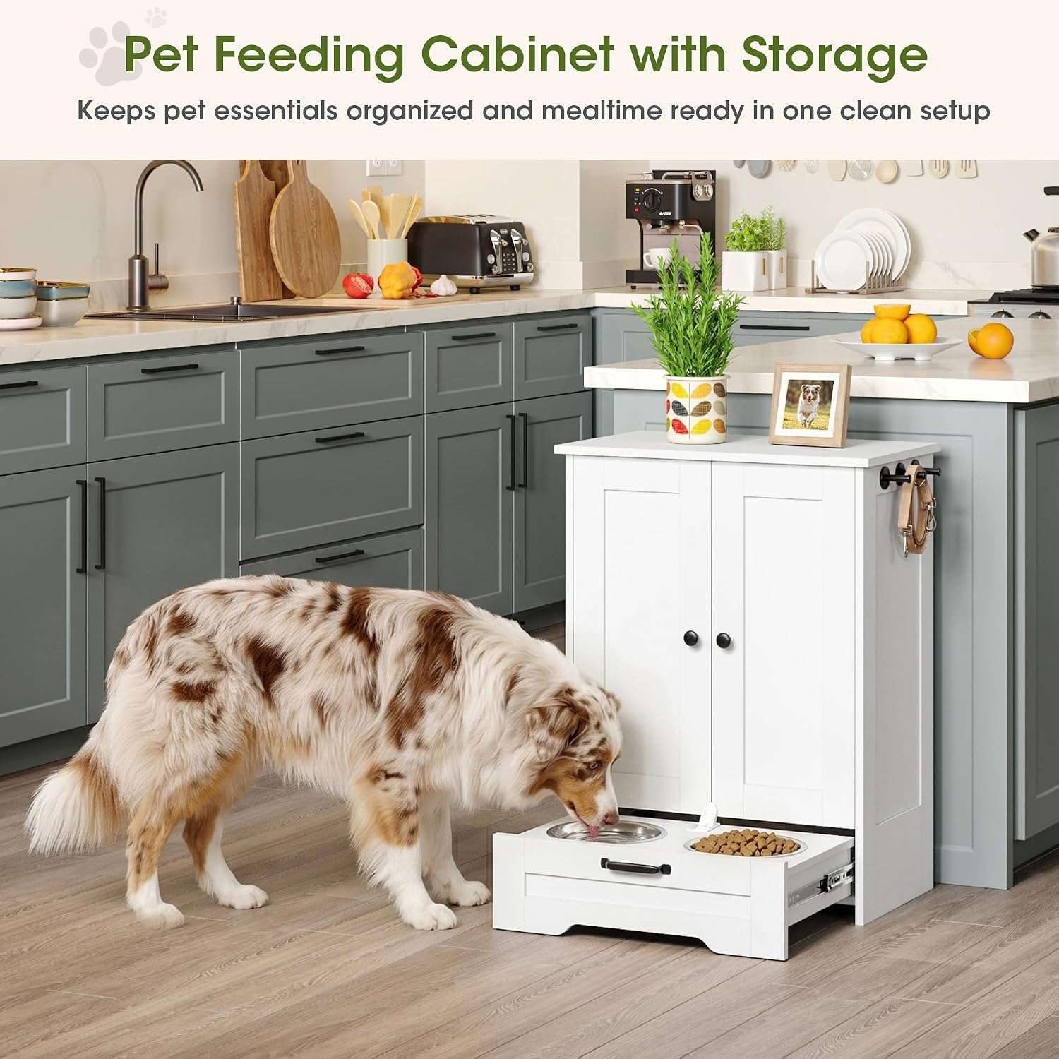Mueble organizador blanco de madera para perros con cajon deslizable platos de 22 cm y estante interno ajustable 60x35x80 cm.