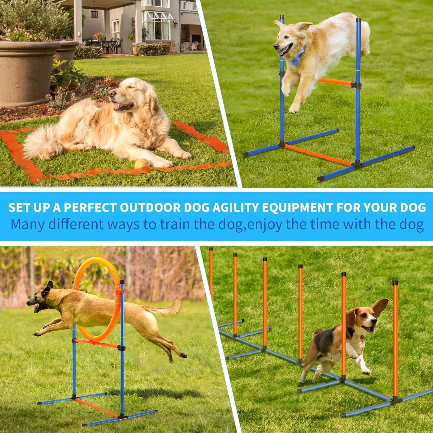 Set de obstaculos agility para perros con vallas aro slalom y caja de pausa. Equipo de adiestramiento ajustable y portatil.