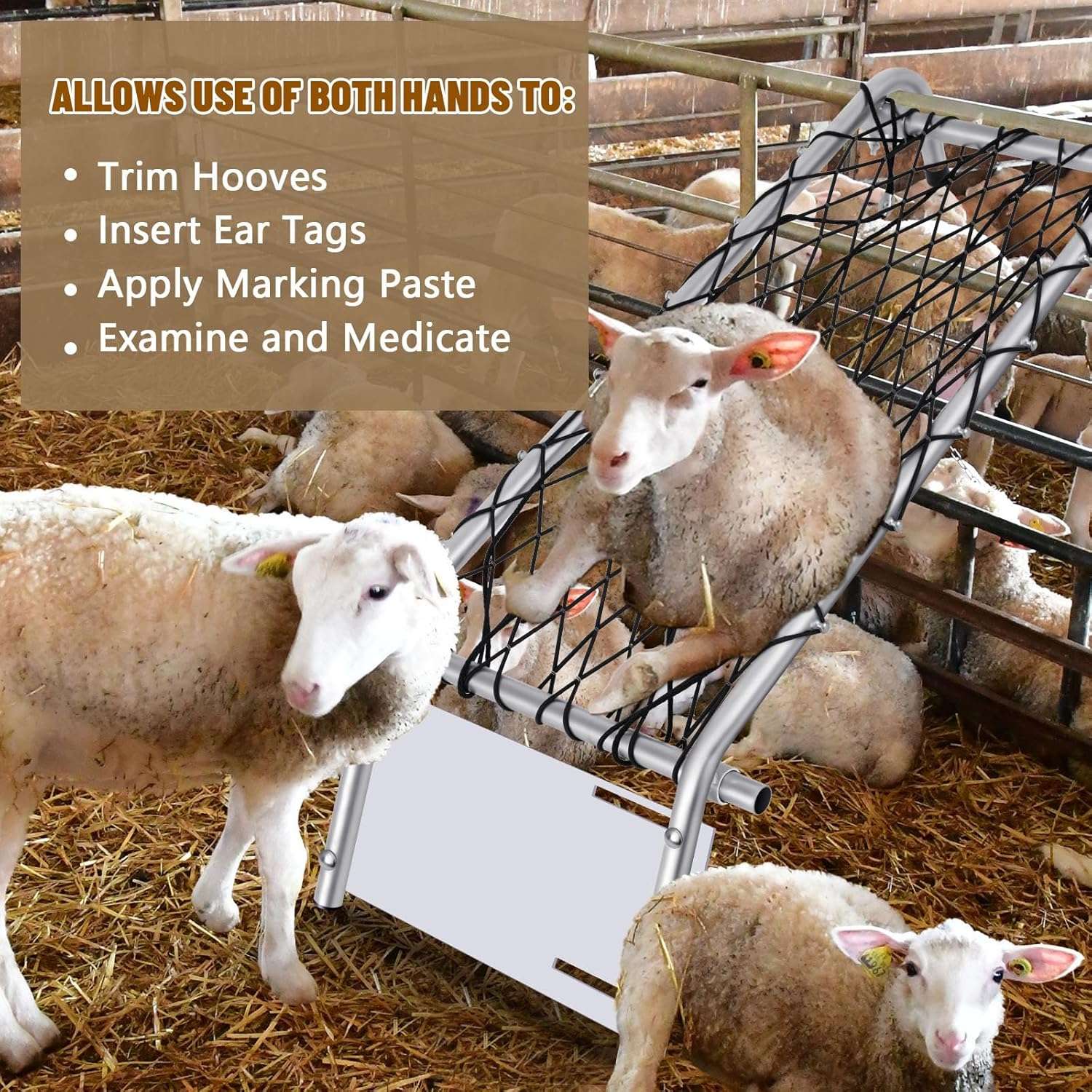 Silla sujetadora de ovejas y cabras de 140x53 cm galvanizada. Estructura metalica ajustable para recorte de pezuñas y esquila.