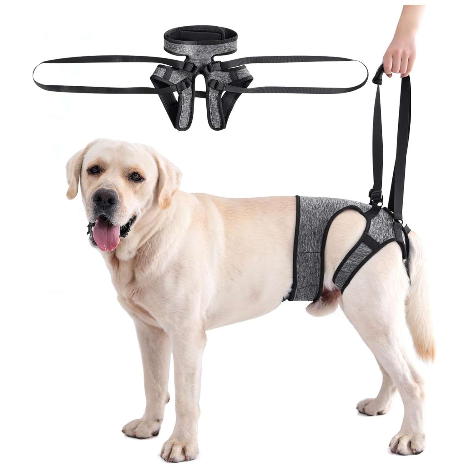 Arnes elevacion perro anti deslizante banda cola soporte 4 puntos patas traseras tela suave