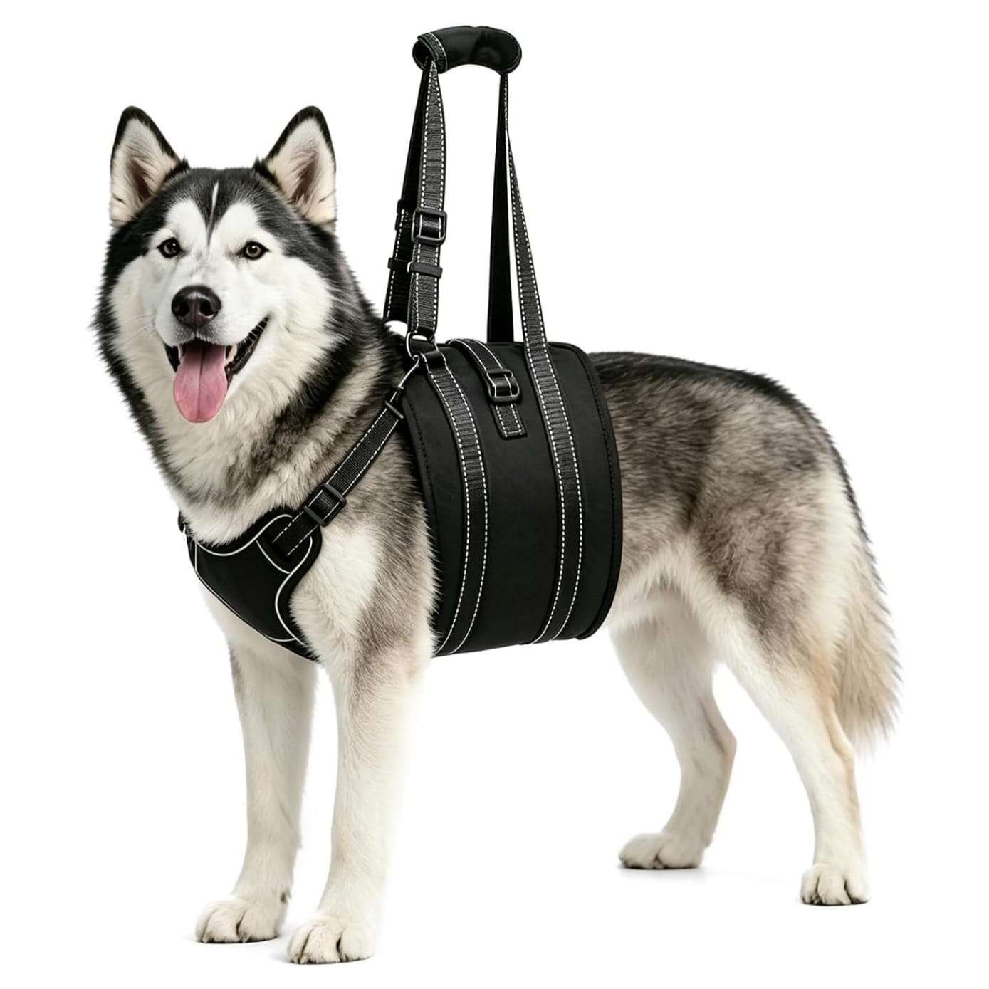 Arnes soporte trasero perro anti escape doble ajuste piel suave displasia cadera post operatorio