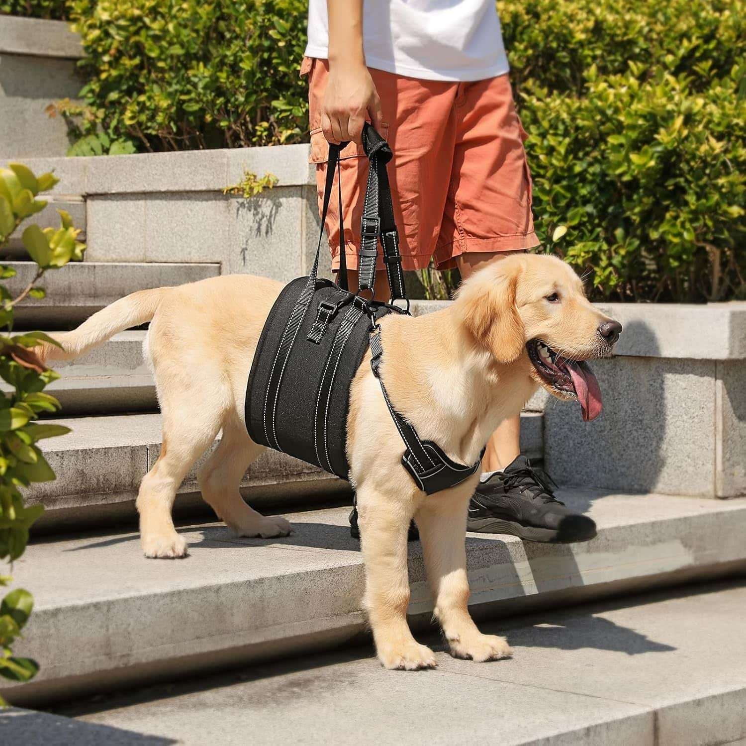 Arnes soporte trasero perro anti escape doble ajuste piel suave displasia cadera post operatorio