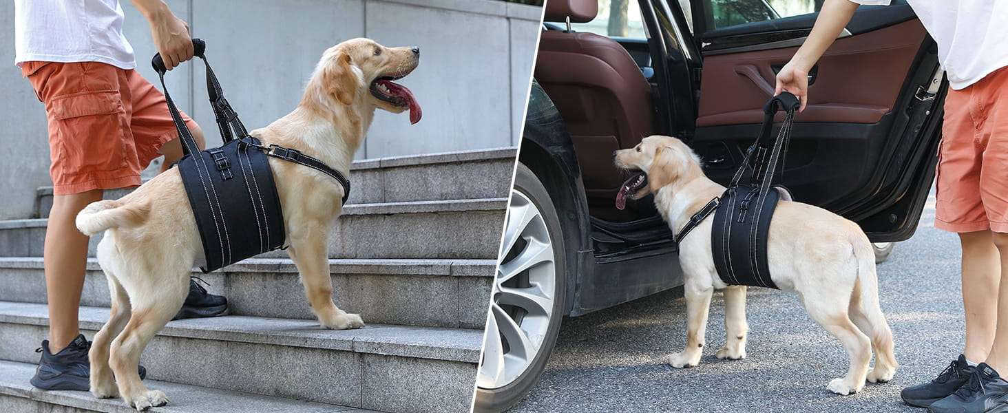 Arnes soporte trasero perro anti escape doble ajuste piel suave displasia cadera post operatorio