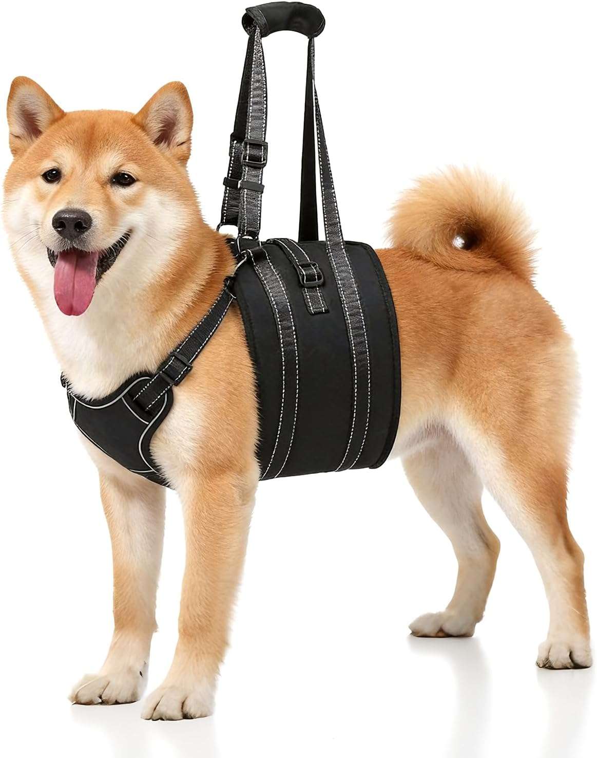 Arnes soporte trasero perro anti escape doble ajuste piel suave displasia cadera post operatorio