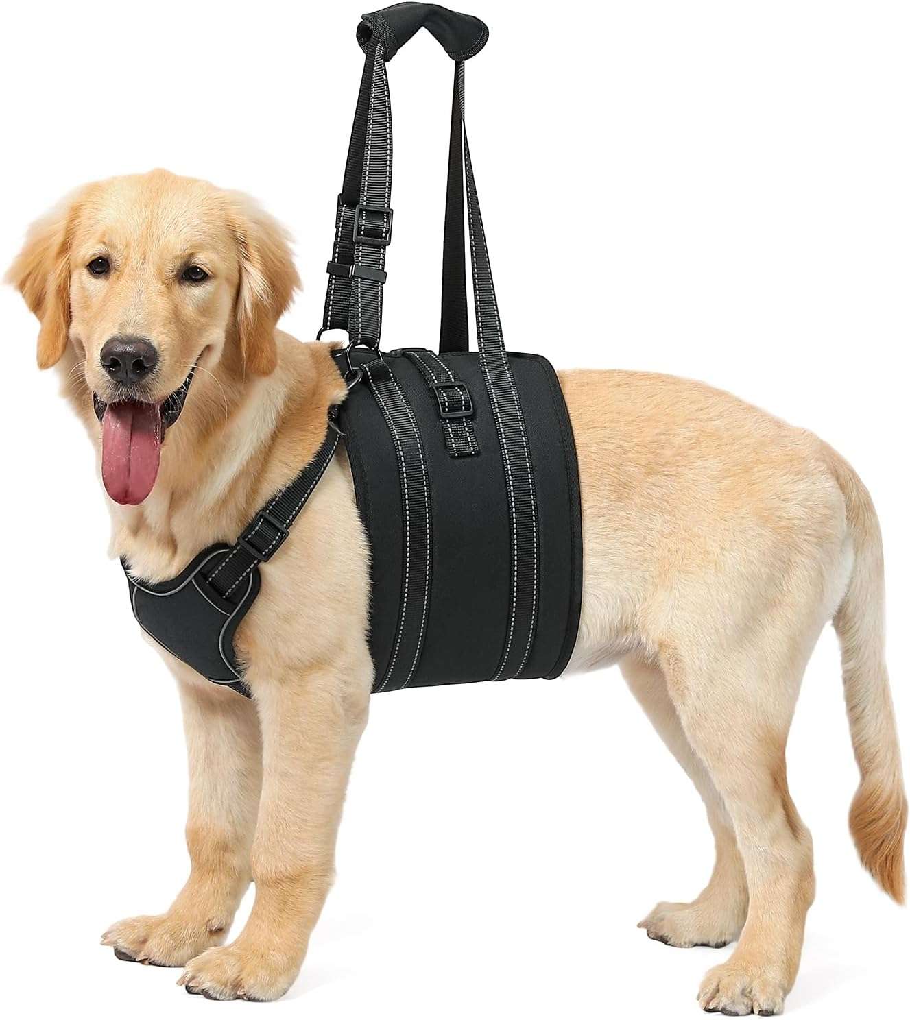 Arnes soporte trasero perro anti escape doble ajuste piel suave displasia cadera post operatorio
