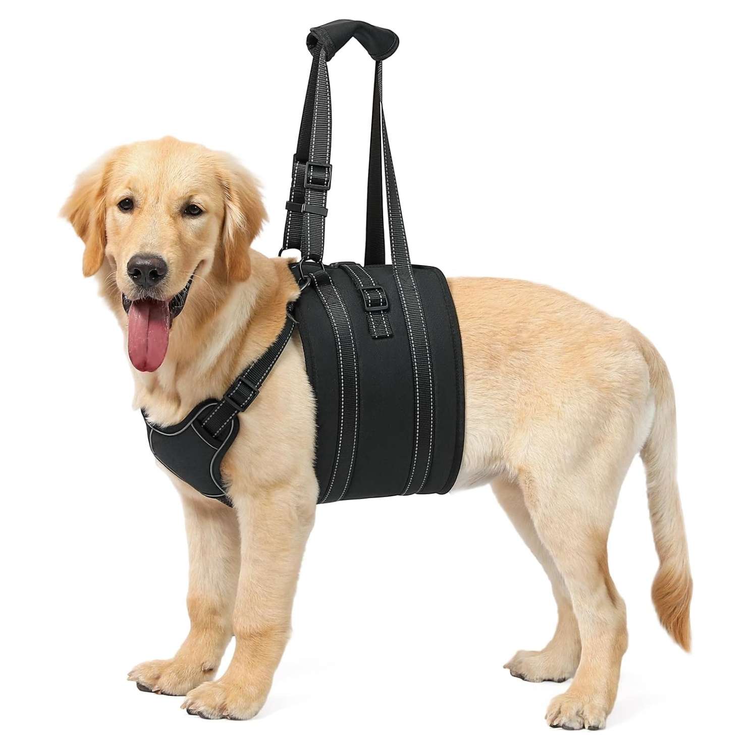 Arnes soporte trasero perro anti escape doble ajuste piel suave displasia cadera post operatorio