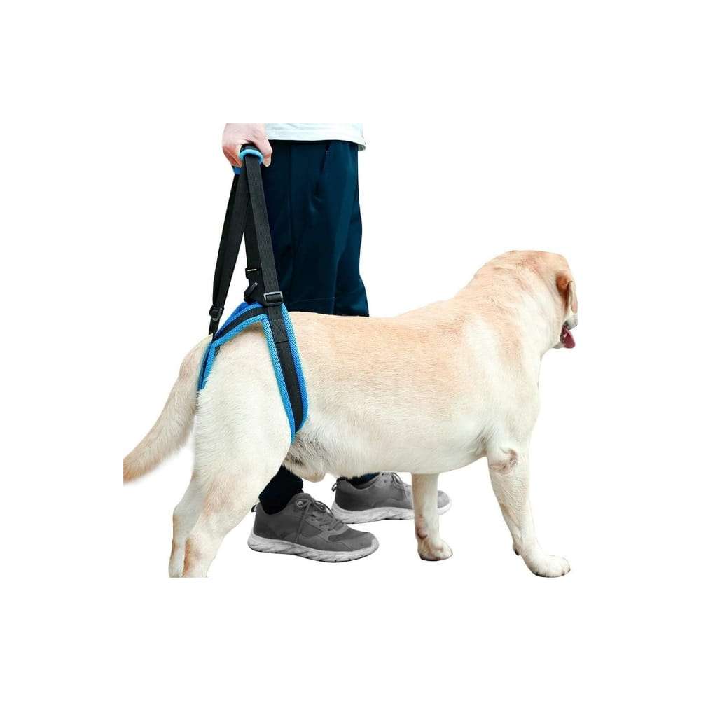 Arnes de elevacion ortopedico para perros con panel protector y malla transpirable