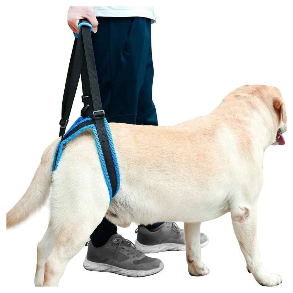 Arnes soporte trasero perro panel protector macho hembra malla transpirable ayuda levantar