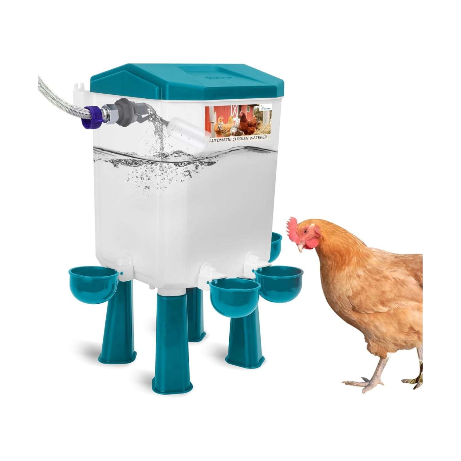 Bebedero automatico para gallinas y aves de corral con patas de soporte y manguera