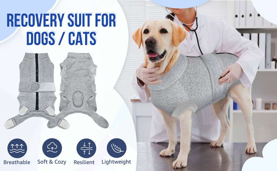 Body recuperacion perros post operatorio tallas grandes y pequeñas cierre espalda alternativa cono