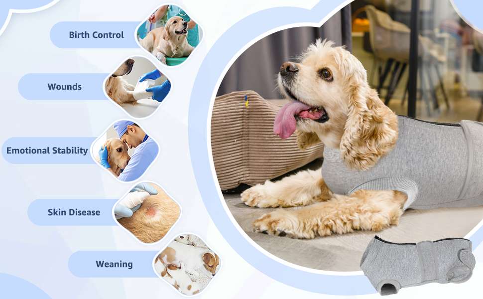 Body recuperacion perros post operatorio tallas grandes y pequeñas cierre espalda alternativa cono