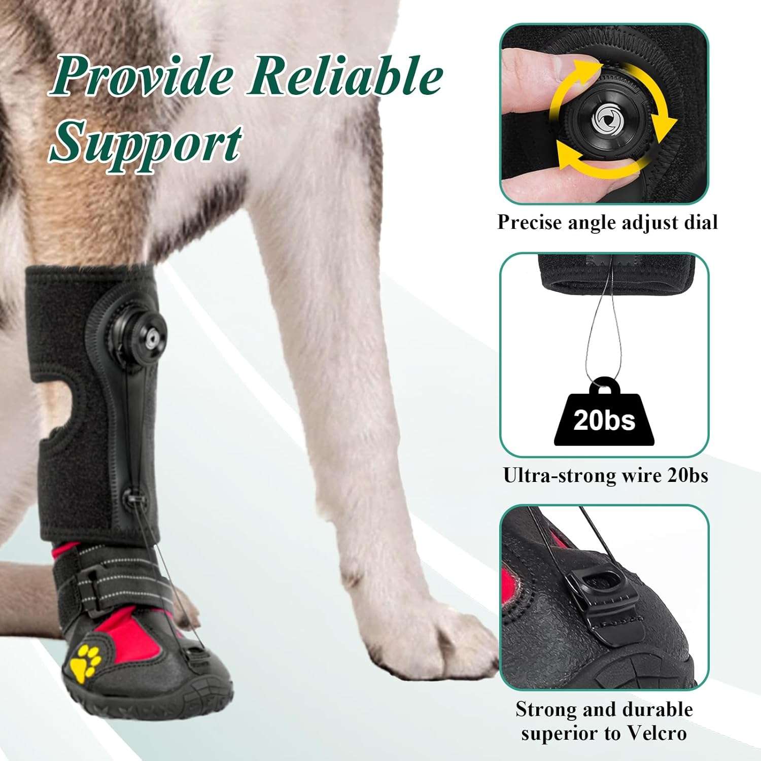 Bota ortopedica perro pie caido knuckling sistema dial anti arrastre IVDD rehabilitacion