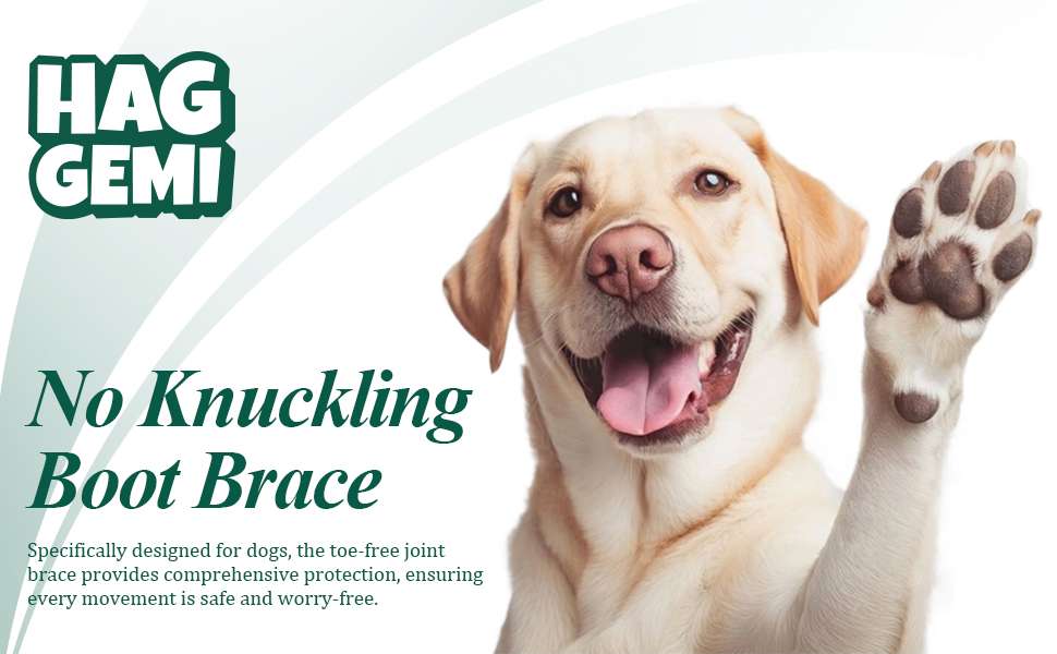 Bota ortopedica perro pie caido knuckling sistema dial anti arrastre IVDD rehabilitacion