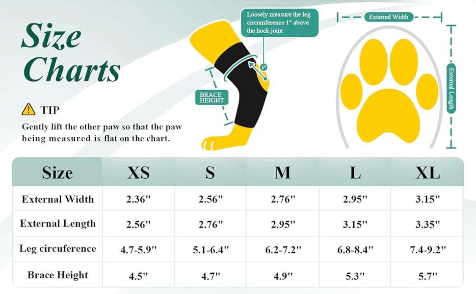 Bota ortopedica perro pie caido knuckling sistema dial anti arrastre IVDD rehabilitacion