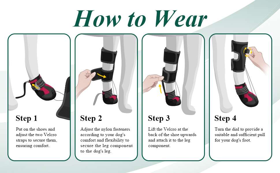 Bota ortopedica perro pie caido knuckling sistema dial anti arrastre IVDD rehabilitacion