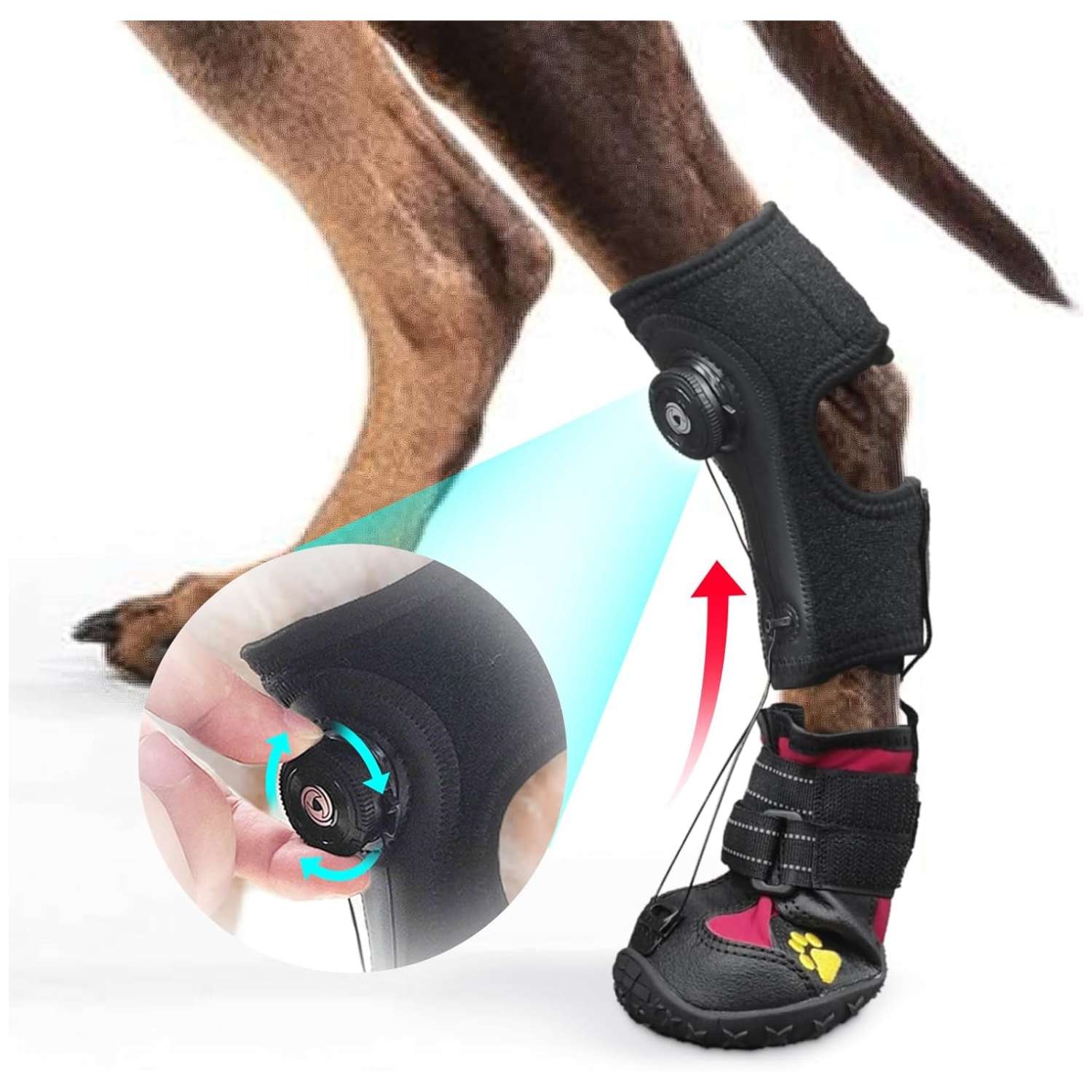 Bota ortopedica perro pie caido knuckling sistema dial anti arrastre IVDD rehabilitacion