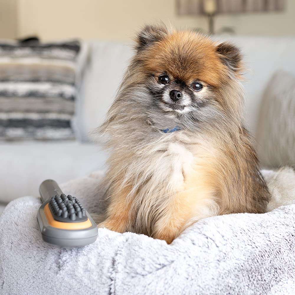 Cepillo masajeador veterinario con vibracion para perros con dolor articular y estres