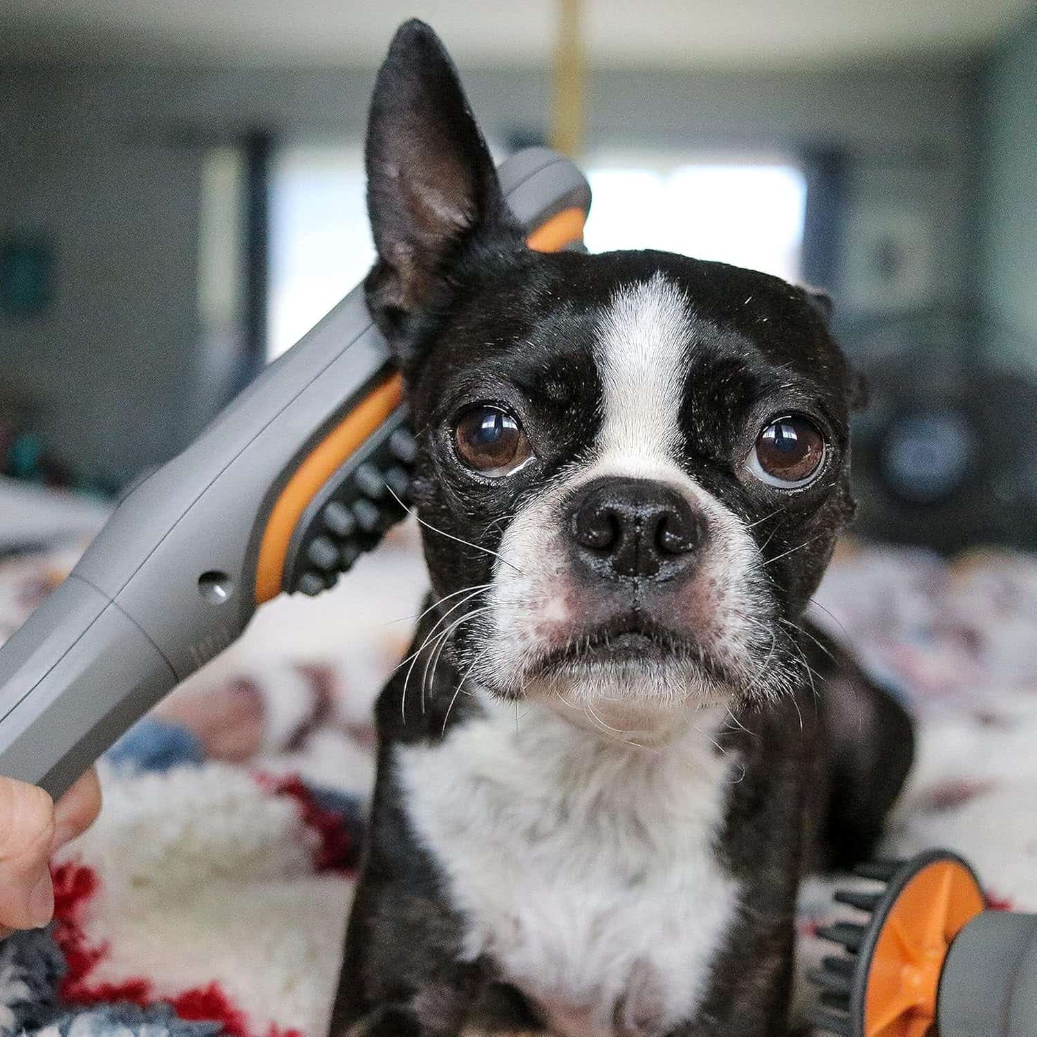 Cepillo masajeador veterinario con vibracion para perros con dolor articular y estres