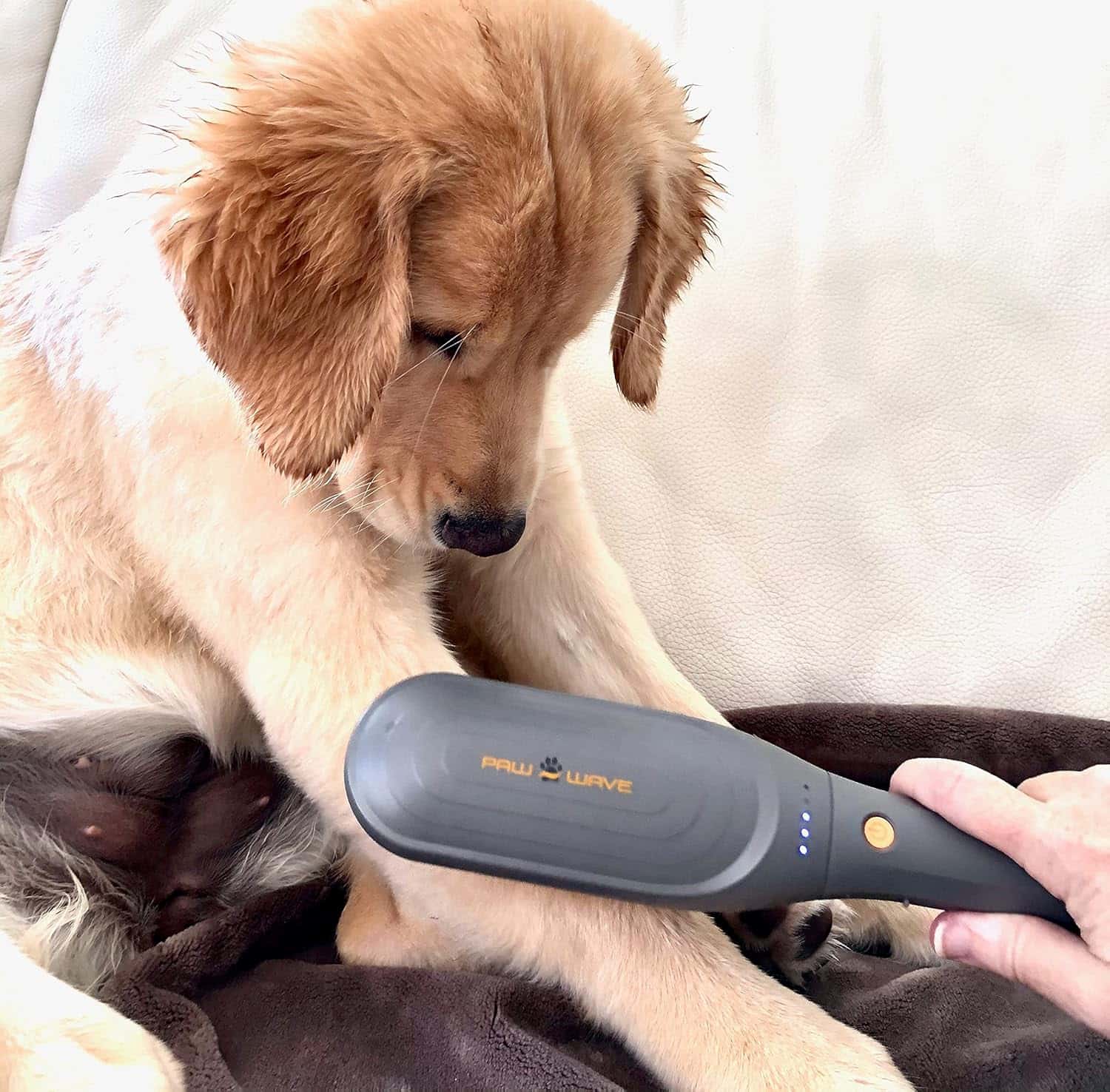Cepillo masajeador veterinario con vibracion para perros con dolor articular y estres