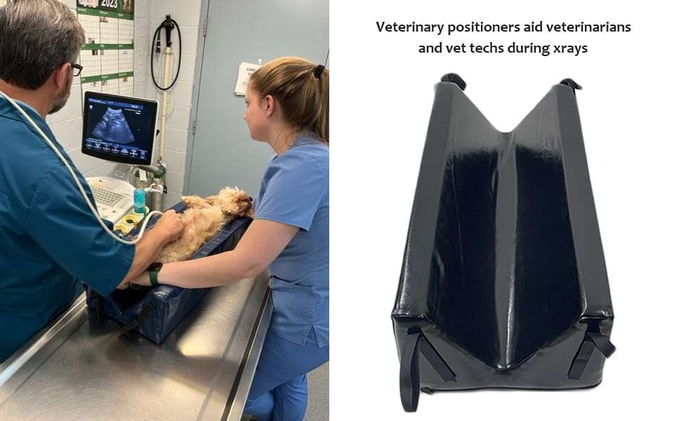 Posicionador veterinario tipo V para ecografias y rayos x en perros y gatos con correas de seguridad