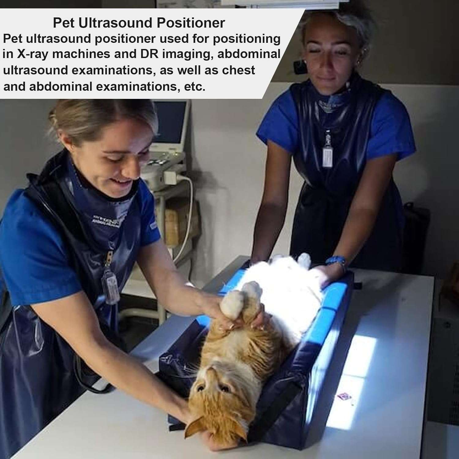 Posicionador veterinario tipo V para ecografias y rayos x en perros y gatos con correas de seguridad