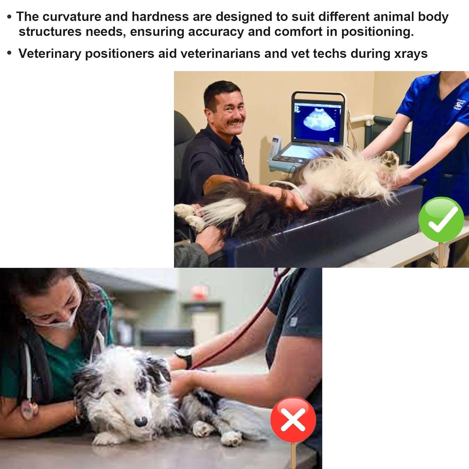 Posicionador veterinario tipo V para ecografias y rayos x en perros y gatos con correas de seguridad