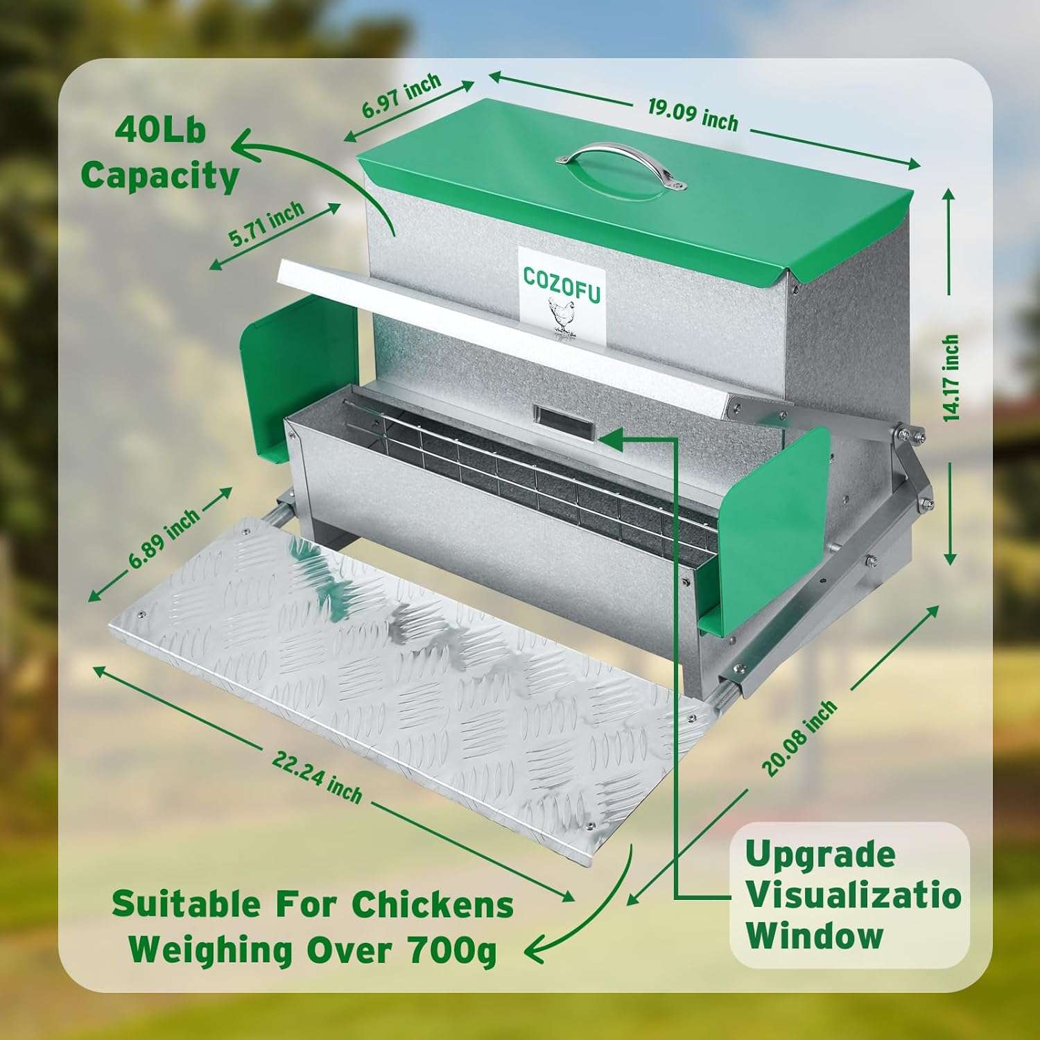 Comedero automatico tipo tolva para gallinas de 11 kg y 18 kg con sistema anti desperdicio.