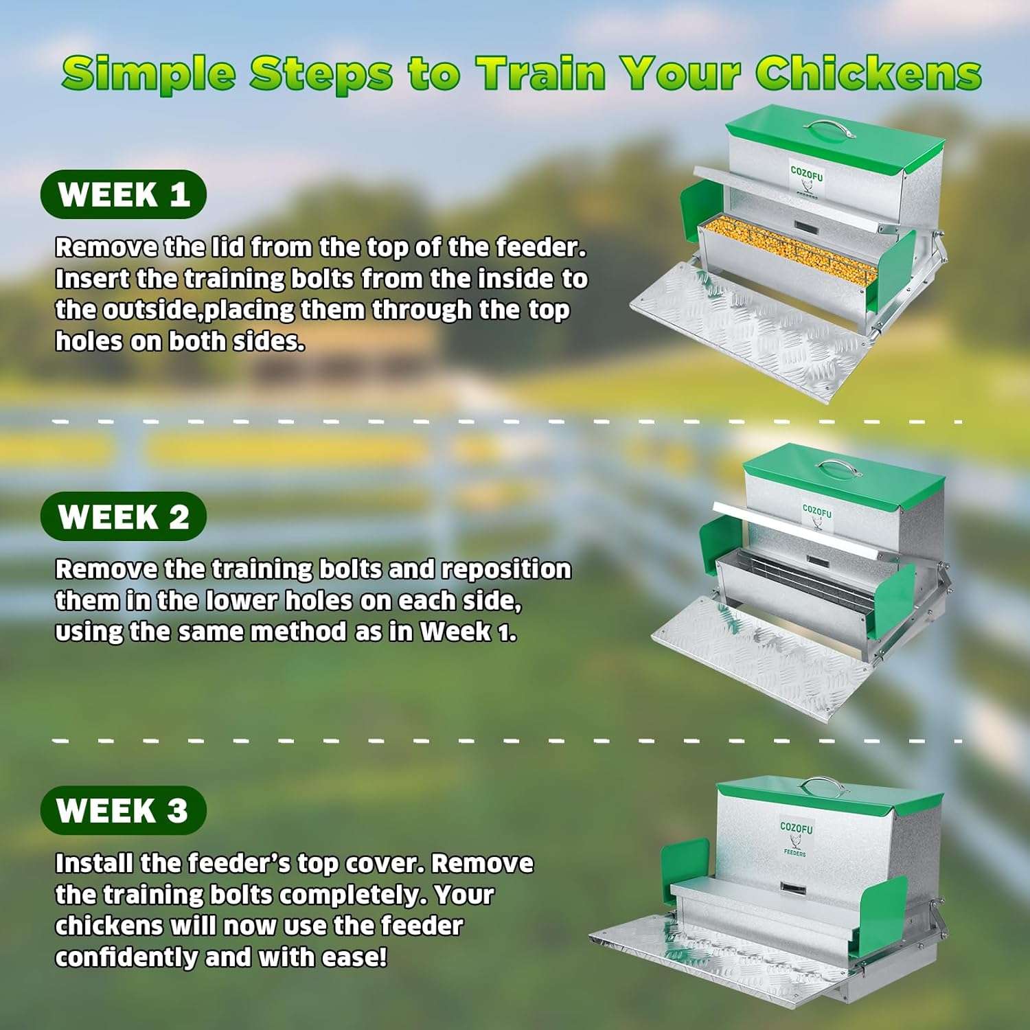 Comedero automatico tipo tolva para gallinas de 11 kg y 18 kg con sistema anti desperdicio.