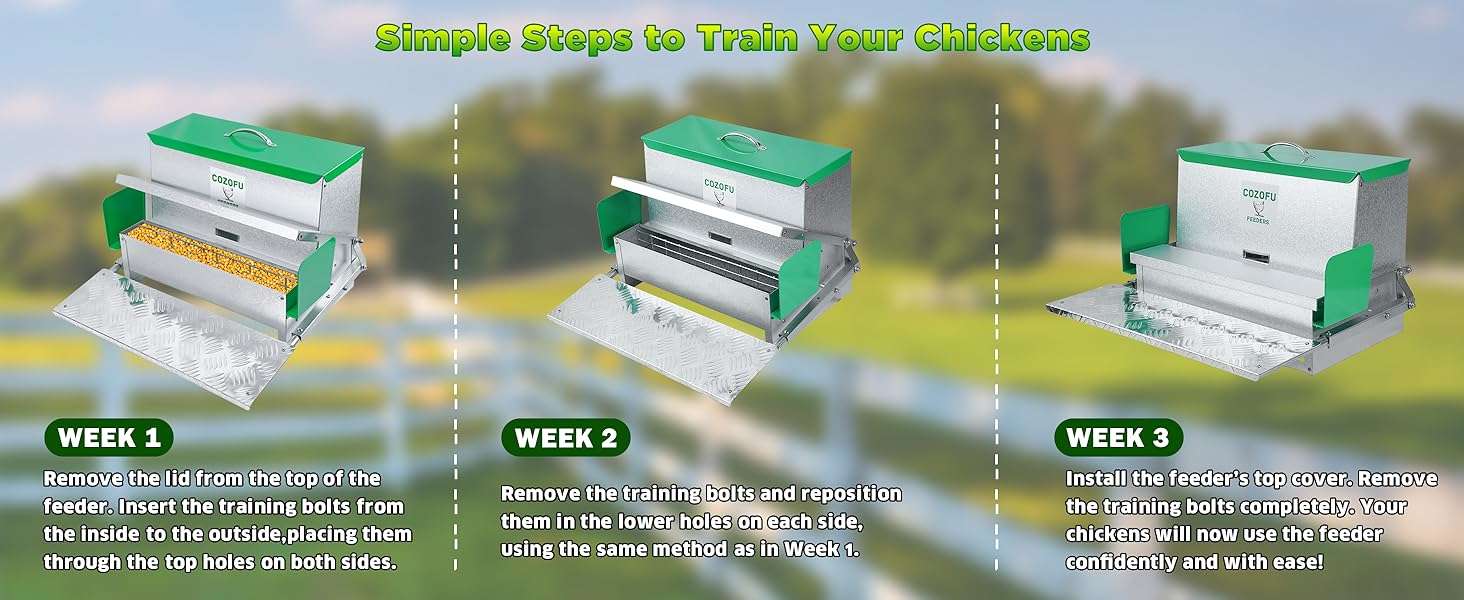 Comedero automatico tipo tolva para gallinas de 11 kg y 18 kg con sistema anti desperdicio.