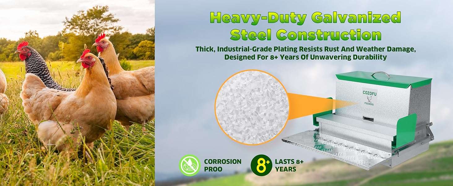Comedero automatico tipo tolva para gallinas de 11 kg y 18 kg con sistema anti desperdicio.