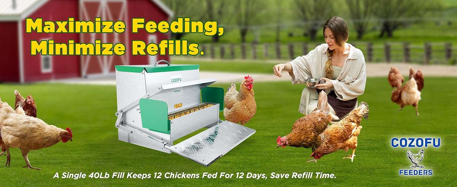 Comedero automatico tipo tolva para gallinas de 11 kg y 18 kg con sistema anti desperdicio.