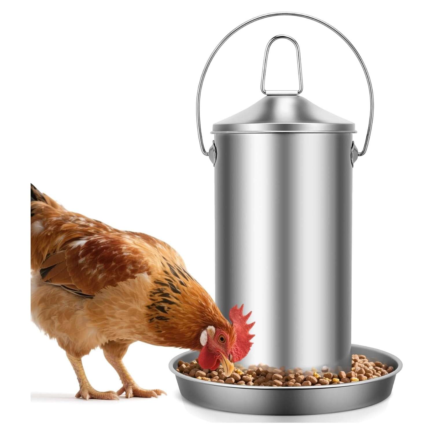 Comedero colgante de 4 kg para gallinas en acero inoxidable 304 resistente a la lluvia y anti desperdicio.