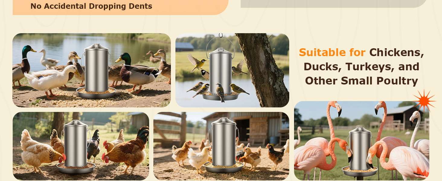 Comedero colgante de 4 kg para gallinas en acero inoxidable 304 resistente a la lluvia y anti desperdicio.